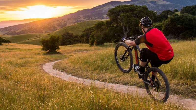 Velos Importe Boutique 12 Velos Importe Boutique -Velos Importe Boutique 41 1