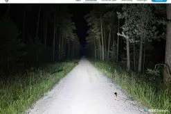 Lupine Alpha 8100 Lumen Scheinwerfer Mit Lenkerhalterung 24 Lupine Alpha 8100 Lumen Scheinwerfer Mit Lenkerhalterung -Velos Importe Boutique lupine alpha 8100 lumen scheinwerfer 14