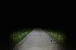 Lupine SL AF 7 Int. 1300 Lumen Scheinwerfer 17 Lupine SL AF 7 Int. 1300 Lumen Scheinwerfer -Velos Importe Boutique lupine sl af beleuchtung 10