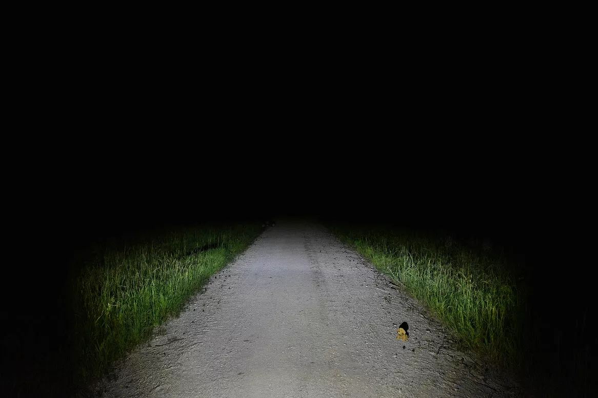 Lupine SL AF 7 Int. 1300 Lumen Scheinwerfer 9 Lupine SL AF 7 Int. 1300 Lumen Scheinwerfer – Bild 9